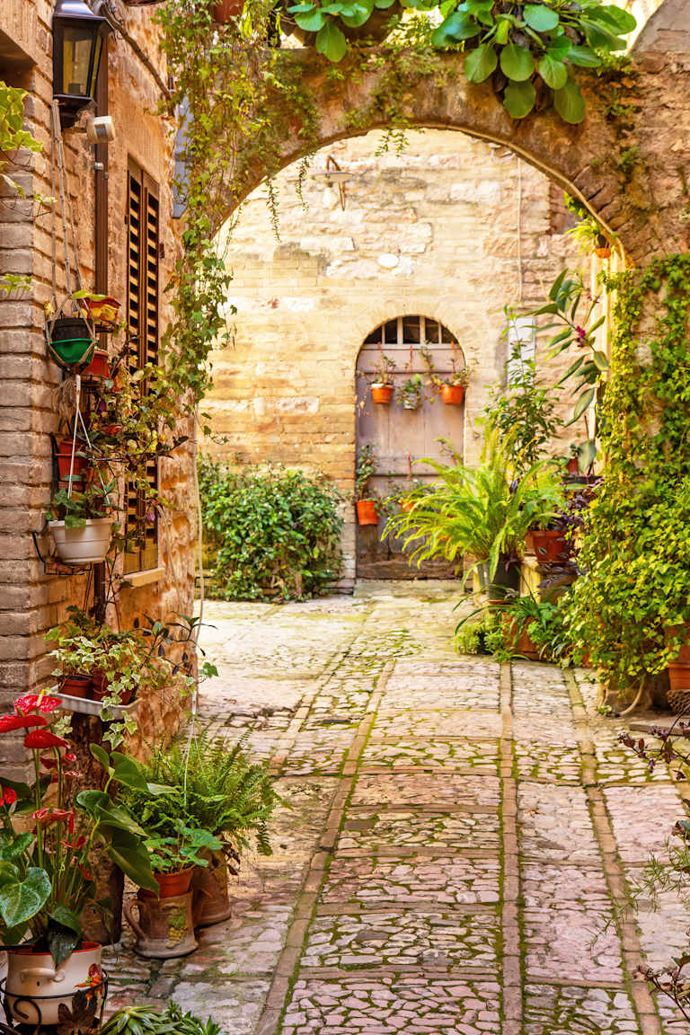 A charming, cobblestone courtyard surrounded by lush greenery and a stone archway, creating a cozy and inviting atmosphere.