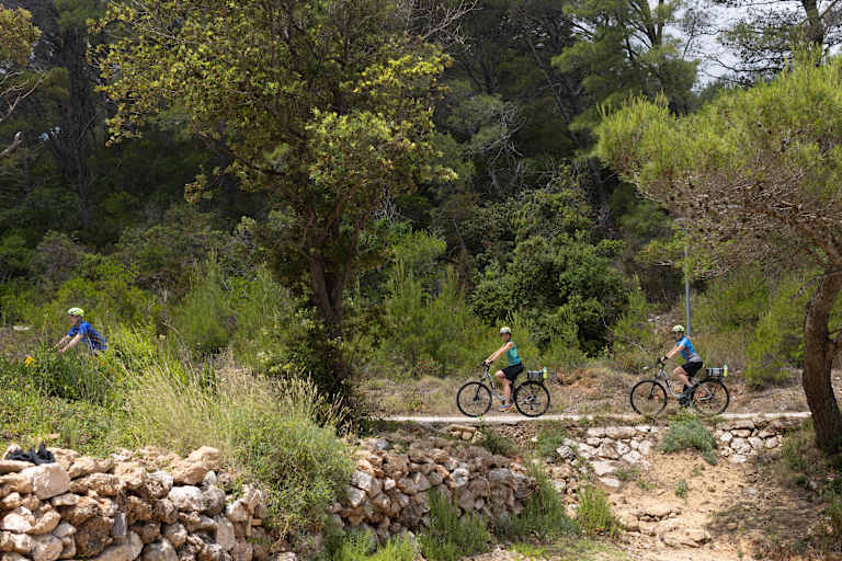 The image depicts a dirt path winding through a lush, forested area, with two cyclists riding their bicycles along the trail. The foreground features a rocky wall, while the background is filled with a variety of trees and vegetation.
