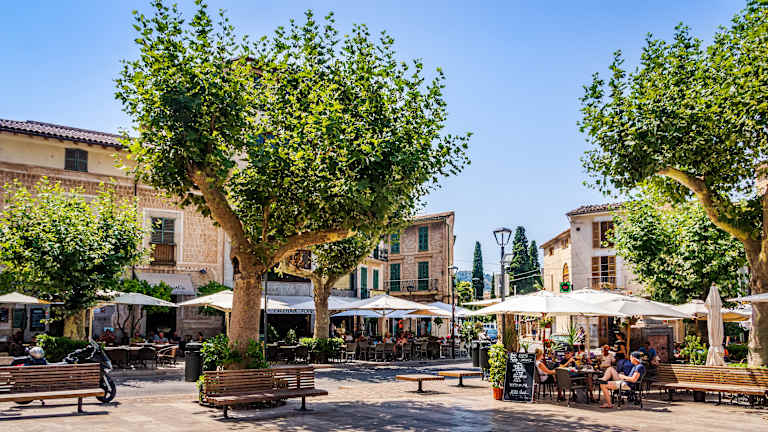 A bustling outdoor market with people dining at tables under the shade of lush, green trees in a quaint European-style town square.