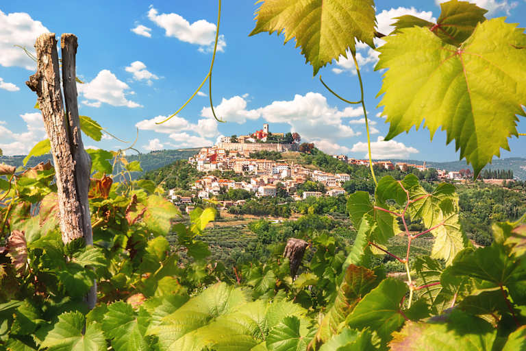 A picturesque hillside town nestled among lush green vineyards, with vibrant autumn-colored leaves framing the scene against a backdrop of a clear blue sky with fluffy white clouds.