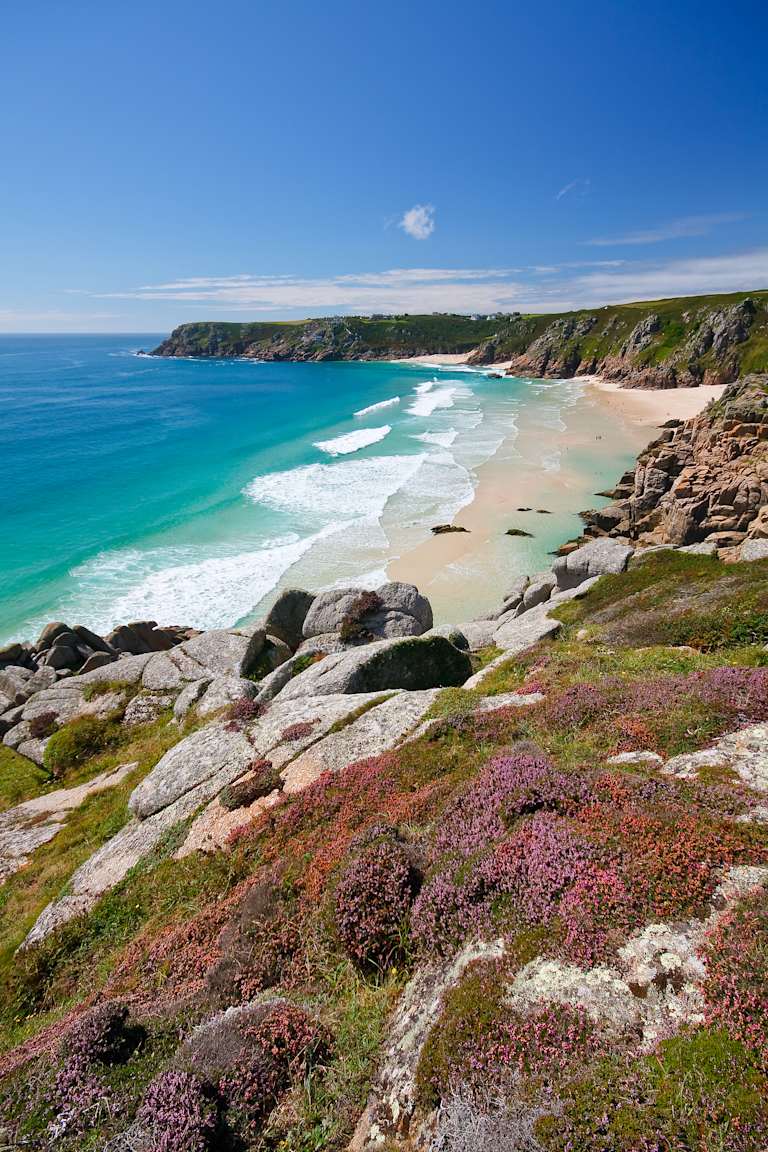 A stunning coastal landscape with a vibrant turquoise ocean, rocky cliffs, and a lush, flowering foreground.