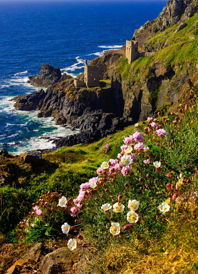 A rugged coastal landscape with a castle or fortress perched atop rocky cliffs, surrounded by a vibrant display of colorful wildflowers in the foreground.