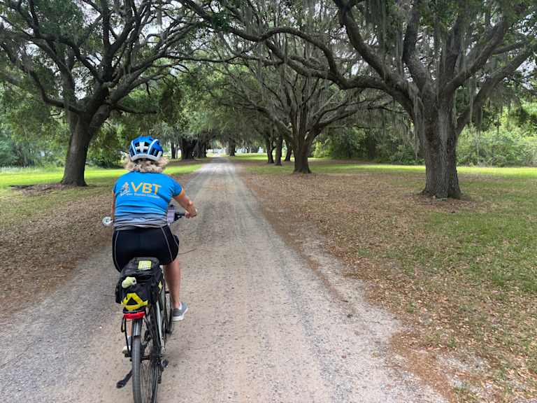 A person on a bicycle rides down a dirt path surrounded by a canopy of lush, green trees in a scenic, park-like setting.