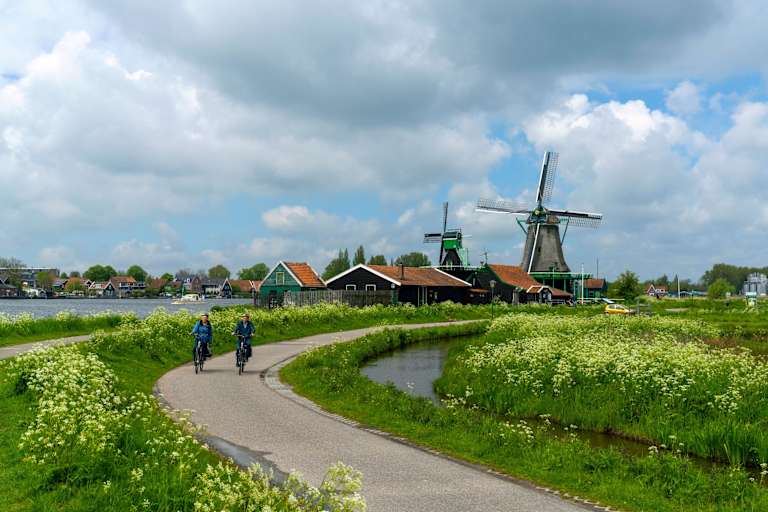 A scenic landscape with a winding path leading past blooming wildflowers and traditional Dutch windmills against a cloudy sky.