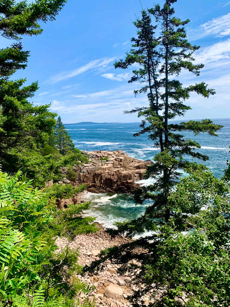 A lush, green forest with tall pine trees frames a scenic coastal landscape featuring rocky cliffs, crashing waves, and a vast expanse of blue ocean in the background.