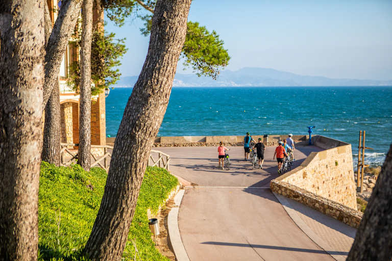 A paved walkway winds through a lush, tree-lined landscape, leading towards a stunning view of the vast, blue ocean in the background.