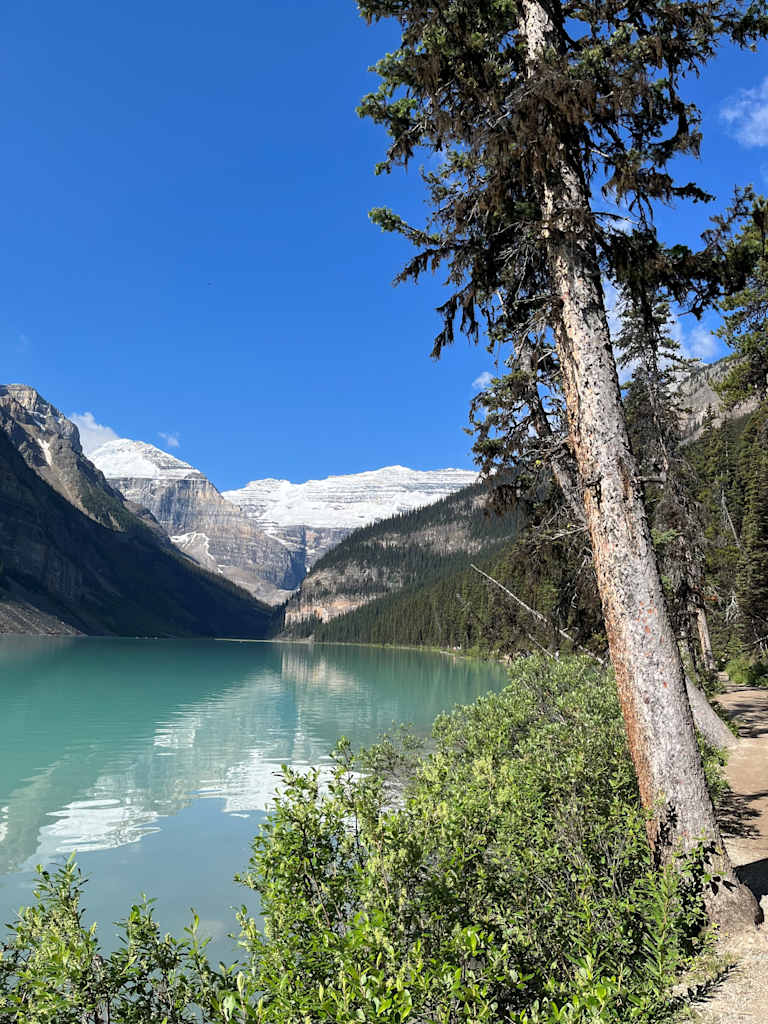 A serene alpine lake surrounded by towering snow-capped mountains and lush evergreen forests, with a winding path leading along the shoreline.