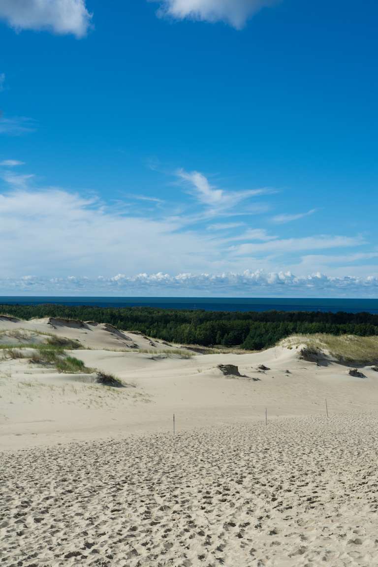 A vast expanse of sandy dunes stretches out, leading to a lush forest and a clear blue sky with wispy clouds overhead.