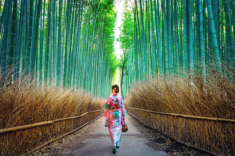 A person in a colorful kimono walks along a wooden path through a lush, verdant bamboo forest.