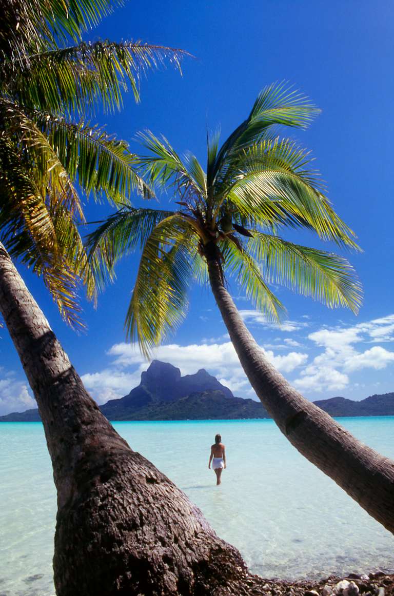 A tropical beach scene with swaying palm trees, a turquoise lagoon, and a person walking in the shallow water.