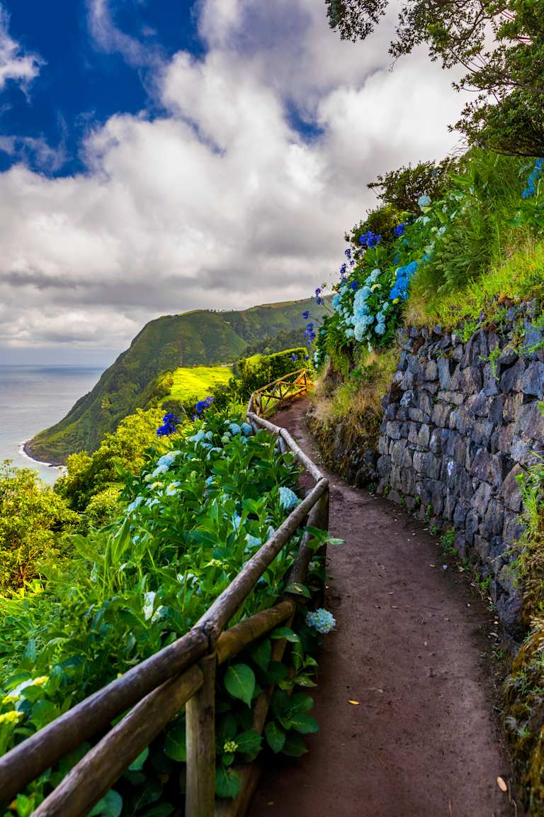 A dirt path lined with blooming hydrangeas and a stone wall winds along a lush green cliff overlooking the ocean under a cloudy sky.