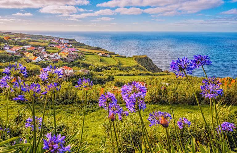 Purple flowers bloom in the foreground of a coastal village nestled on green hills overlooking the blue ocean under a cloudy sky.