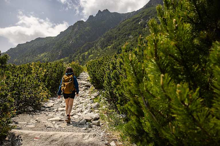 A hiker with a backpack walks up a rocky path through dense green pine trees, with jagged mountain peaks in the distance under a cloudy sky.