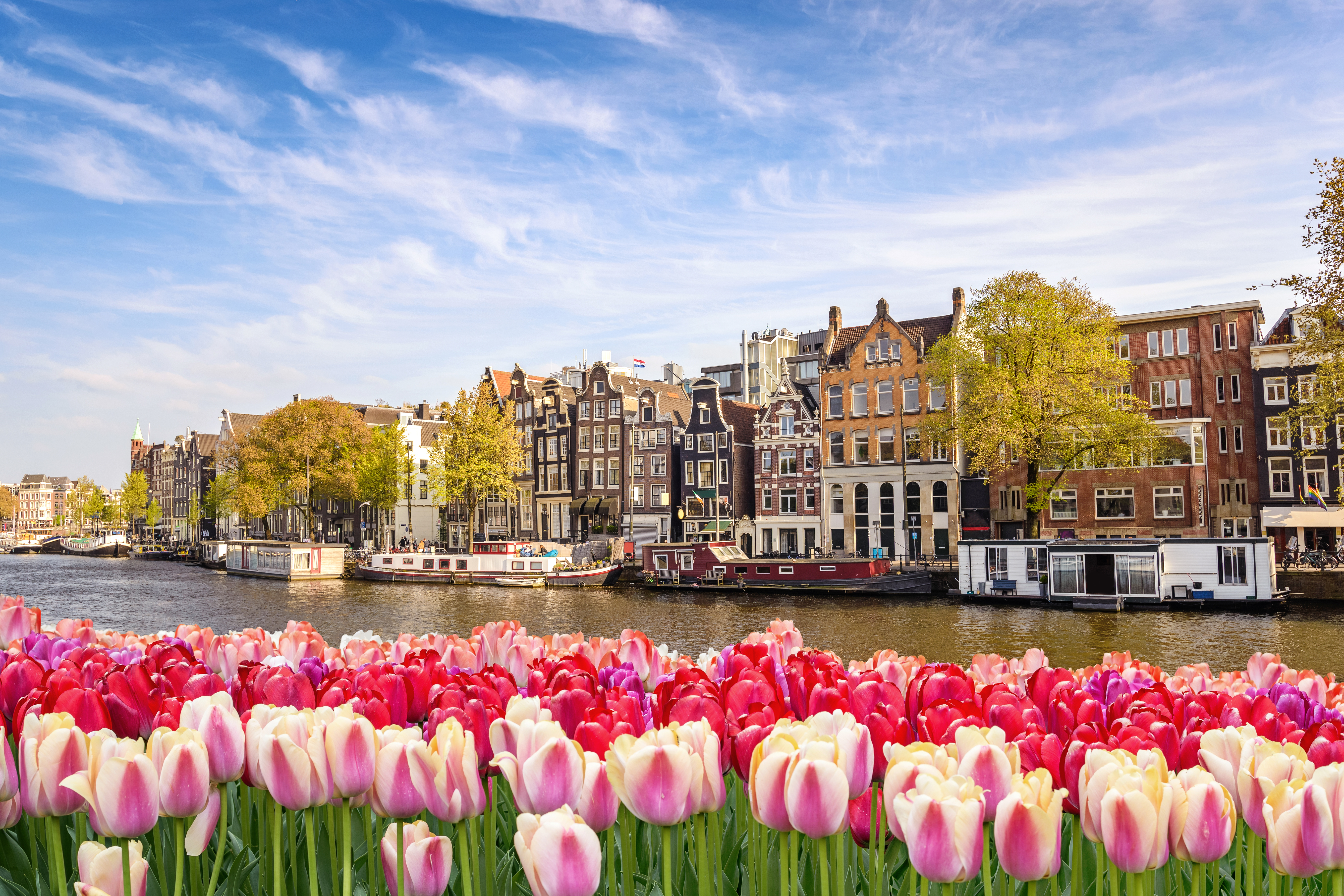 Basel to Amsterdam Rhine Bike & River Cruise - VBT Vacations