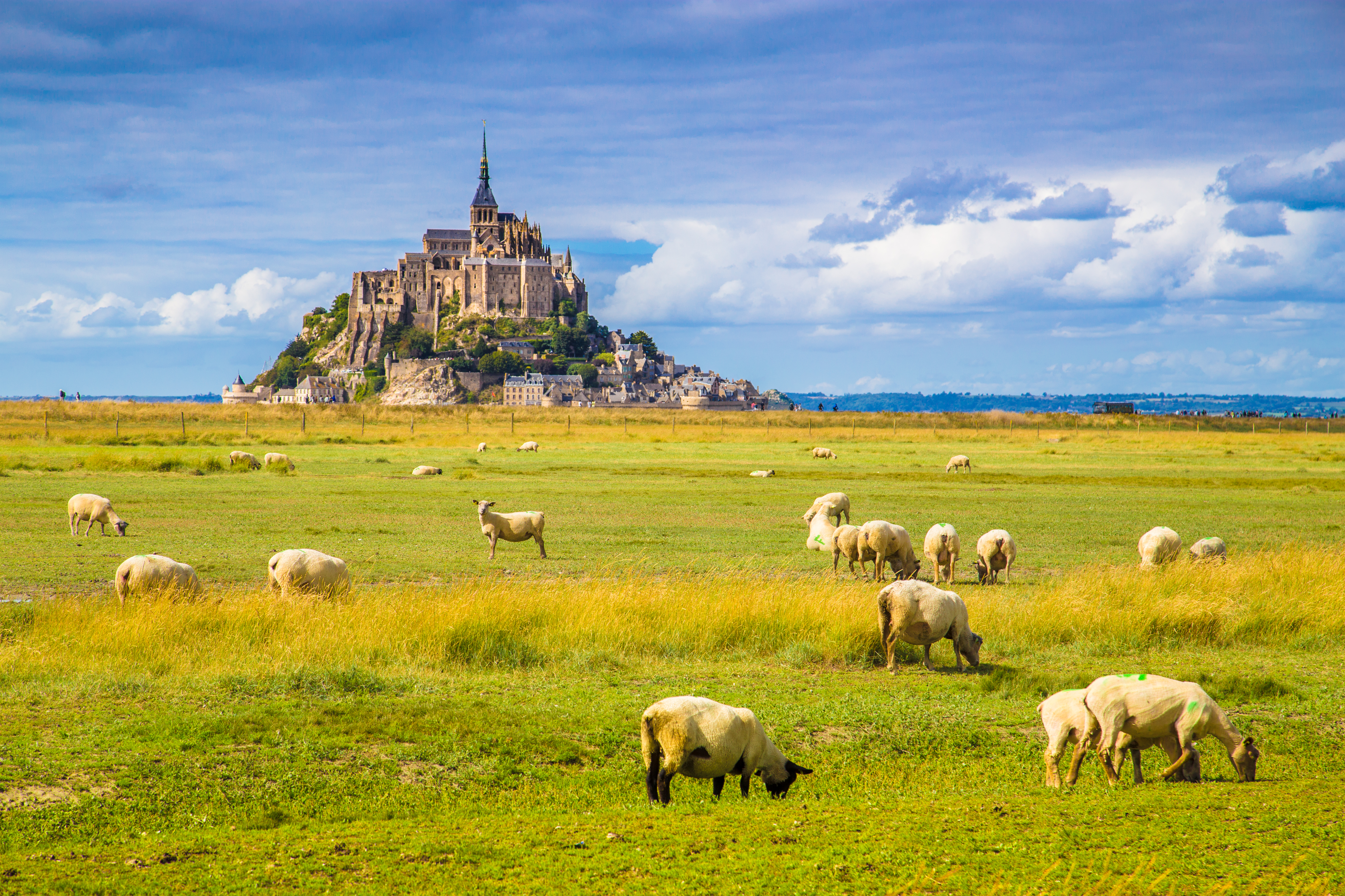 iStock-921100992.jpg