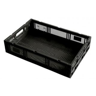 Caja de plástico tipo agrícola de polietileno, colapsable con capacidad de 15 kilogramos 