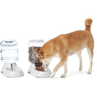 Dispensador de comida para gatos