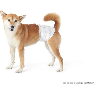 Pañal para perro
