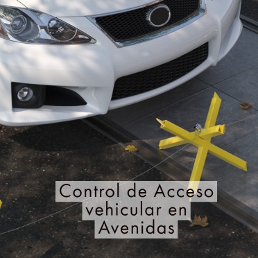 Control de Acceso vehicular en Avenidas