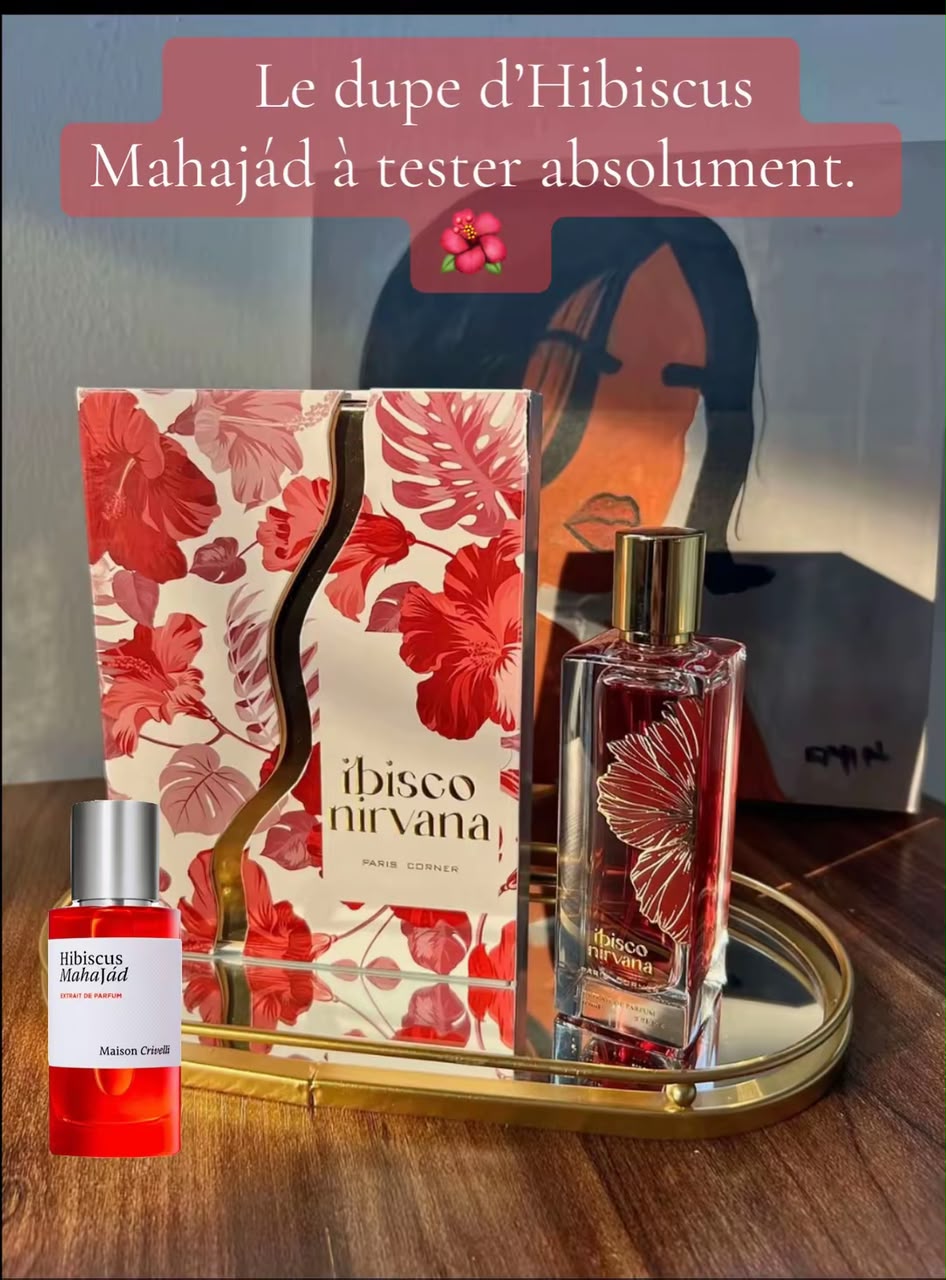 Ibisco Nirvana — Paris Corner