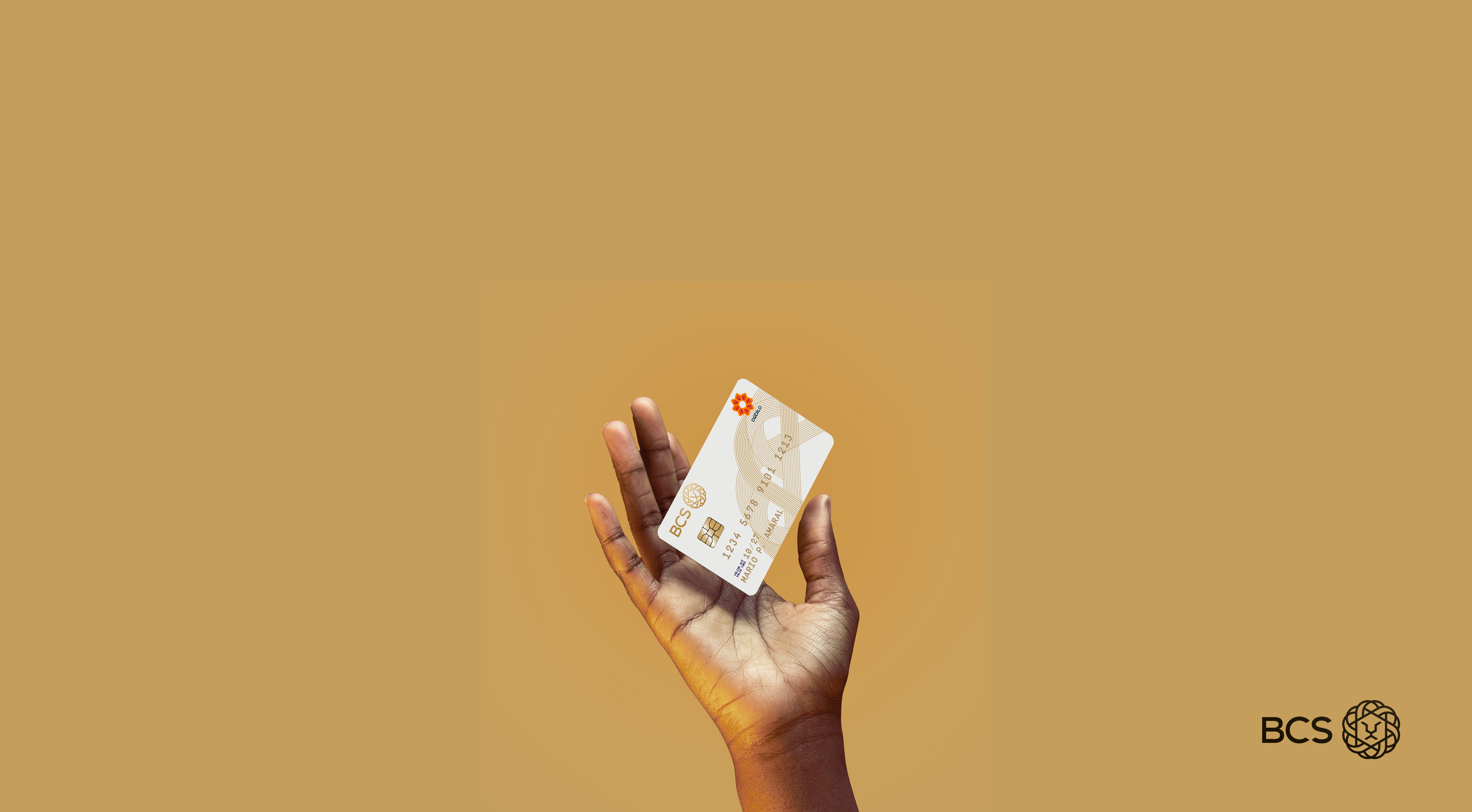 Portal do Banco Crédito Sul