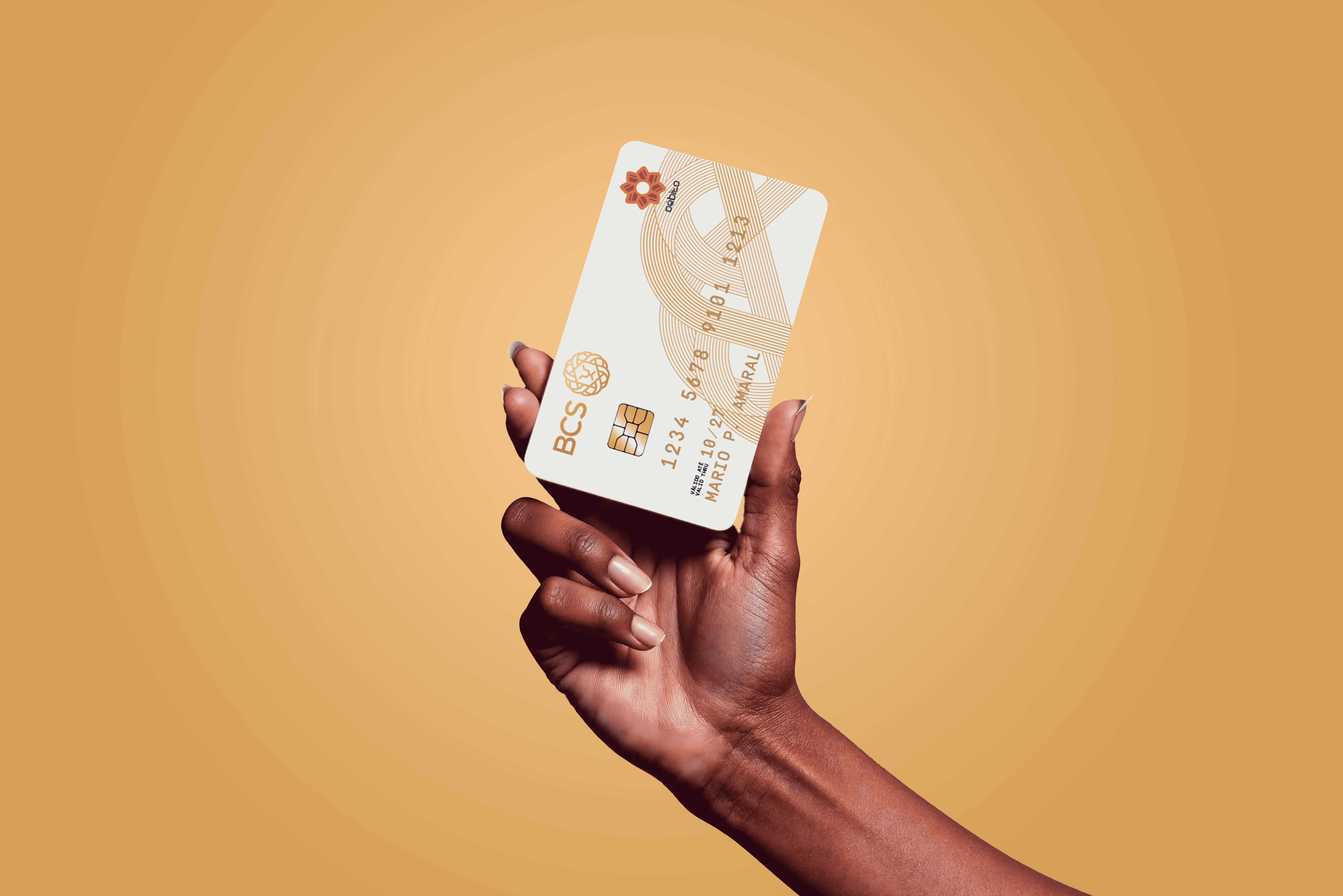 Portal do Banco Crédito Sul 4.1