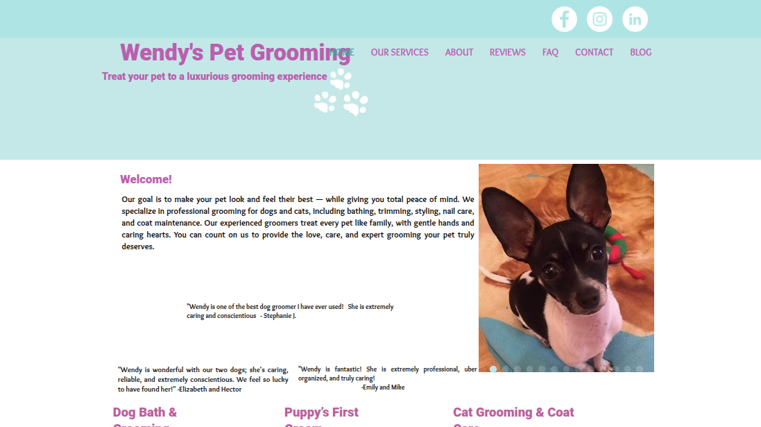 Before Website Redesign