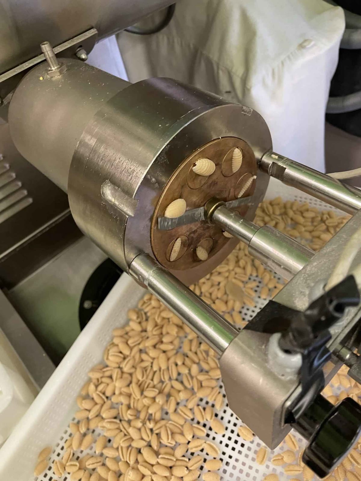 Di semola, integrali, di grano arso. A secon da della stagione gnocchetti mai uguali