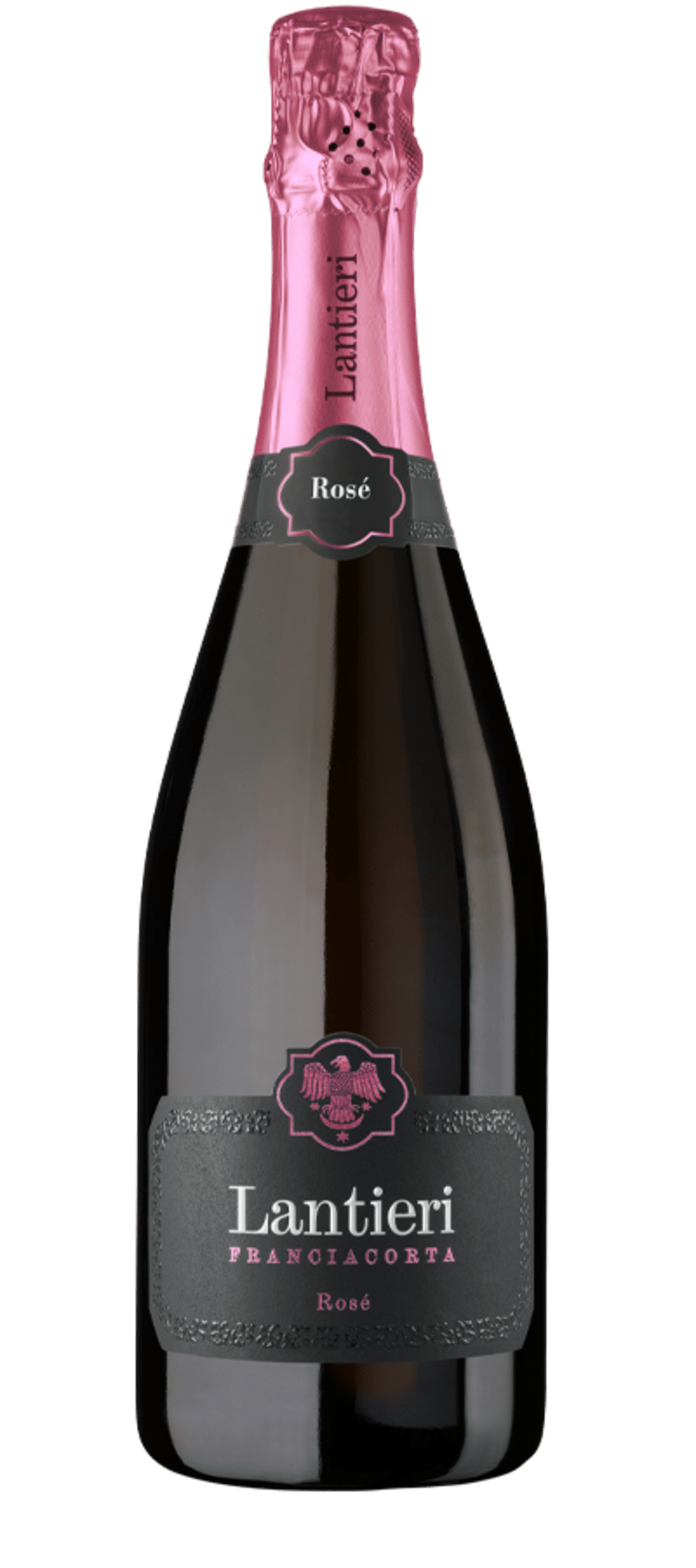 Bottiglia di Franciacorta Brut in astuccio