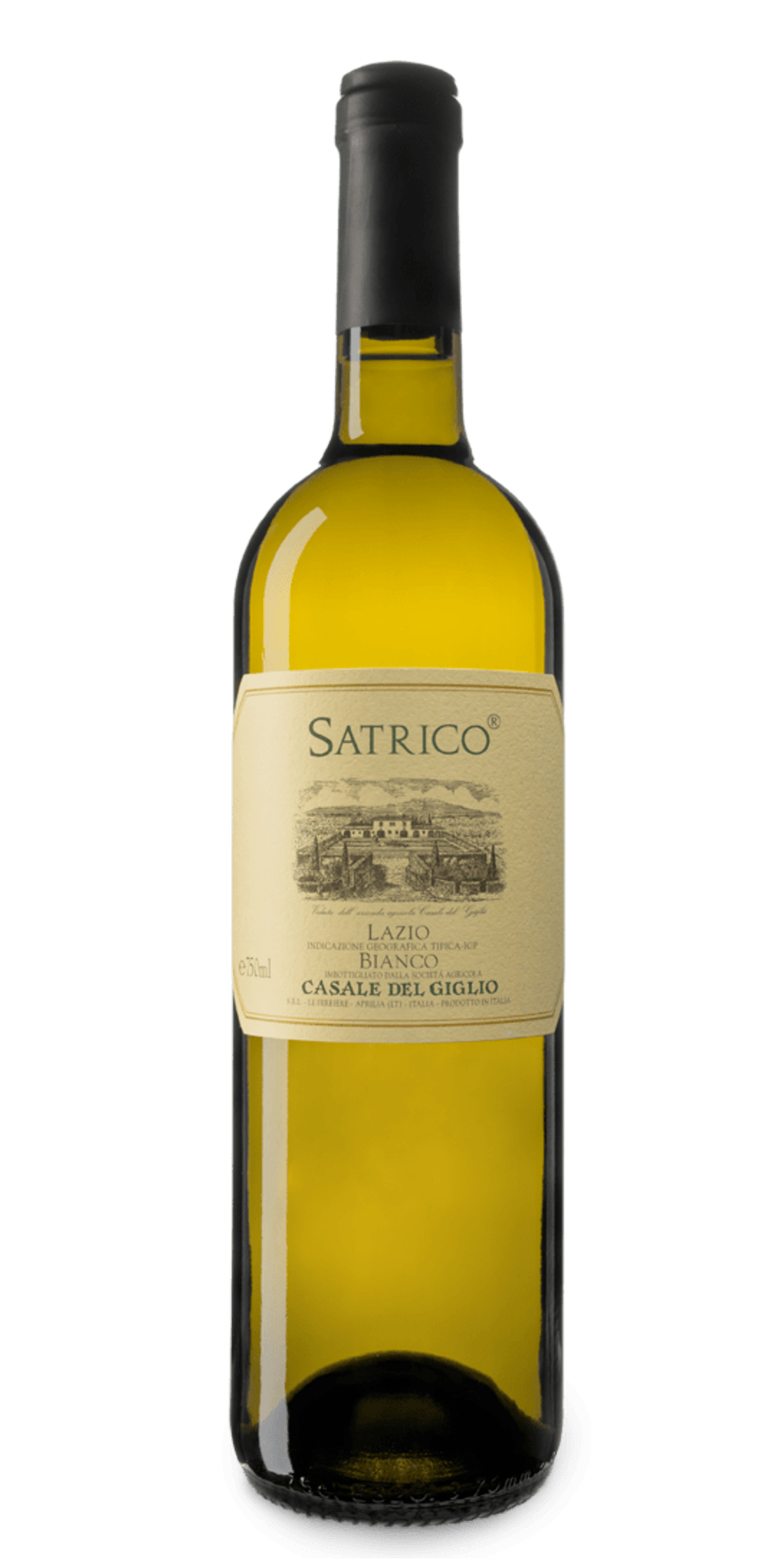 Satrico Lazio IGP Bianco 2024 - Casale del Giglio