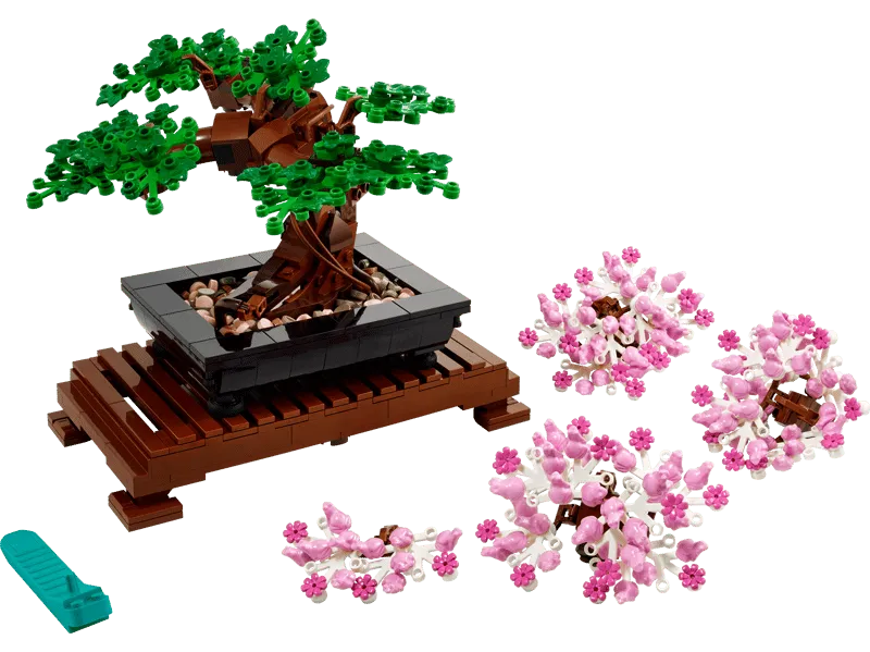 Bonsai Tree