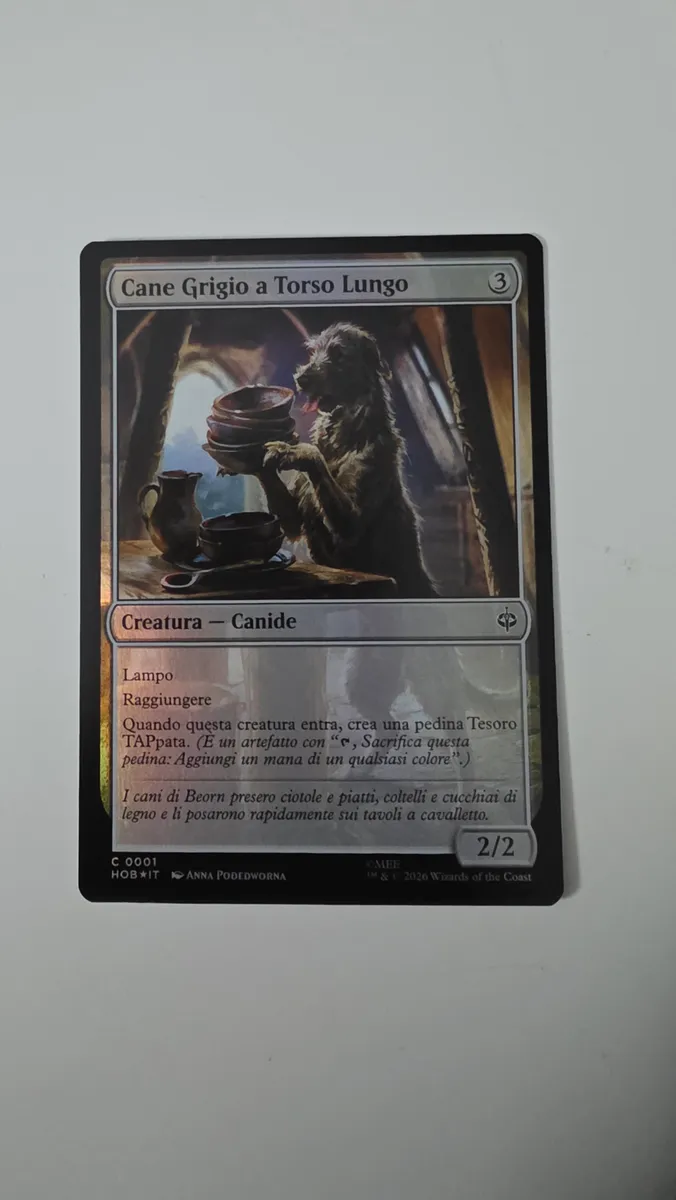 Long-Bodied Grey Dog #1