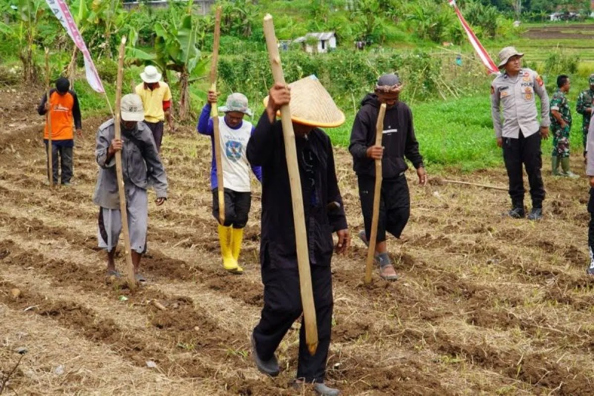 Polres Tasikmalaya Tanam Jagung Serentak di Lahan 22 Hektar Dukung Ketahanan Pangan