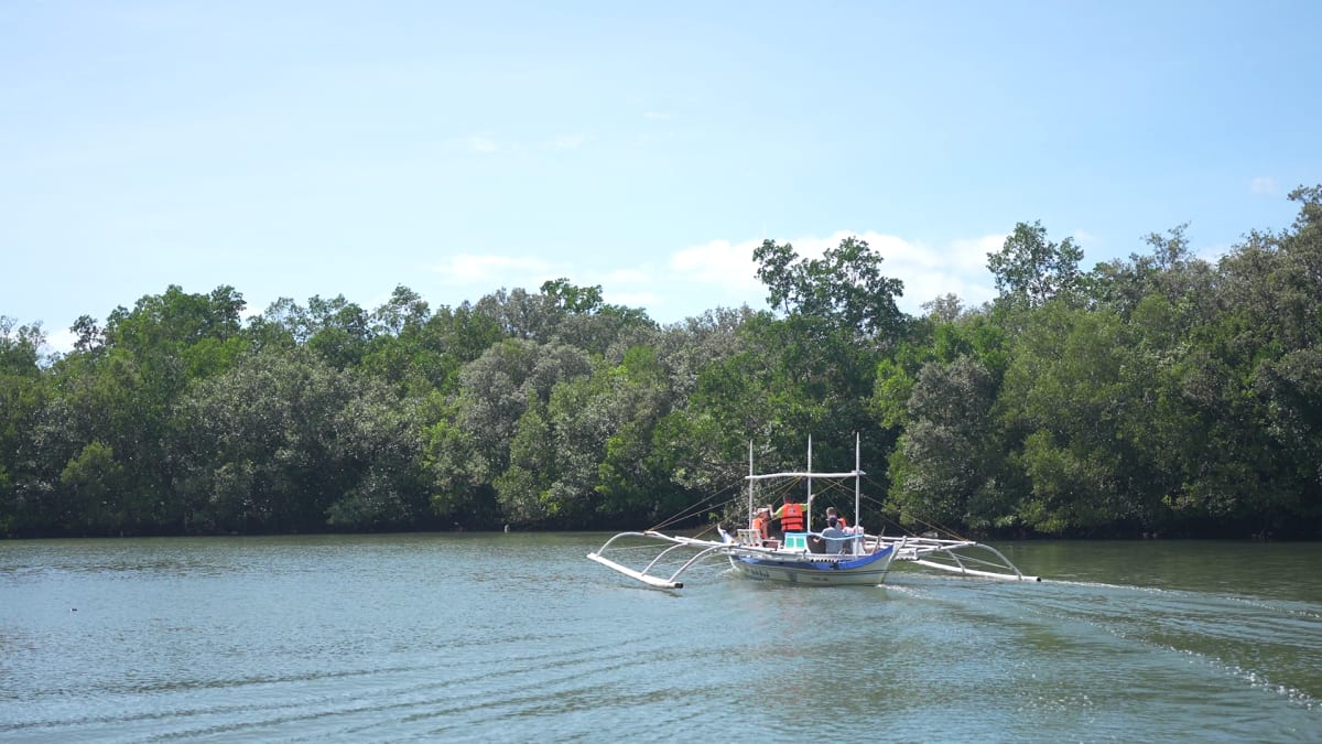 Visitors enjoying kayaking and river cruising in Donsol