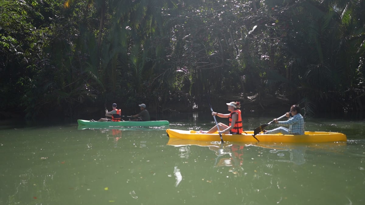 Visitors enjoying kayaking and river cruising on calm water