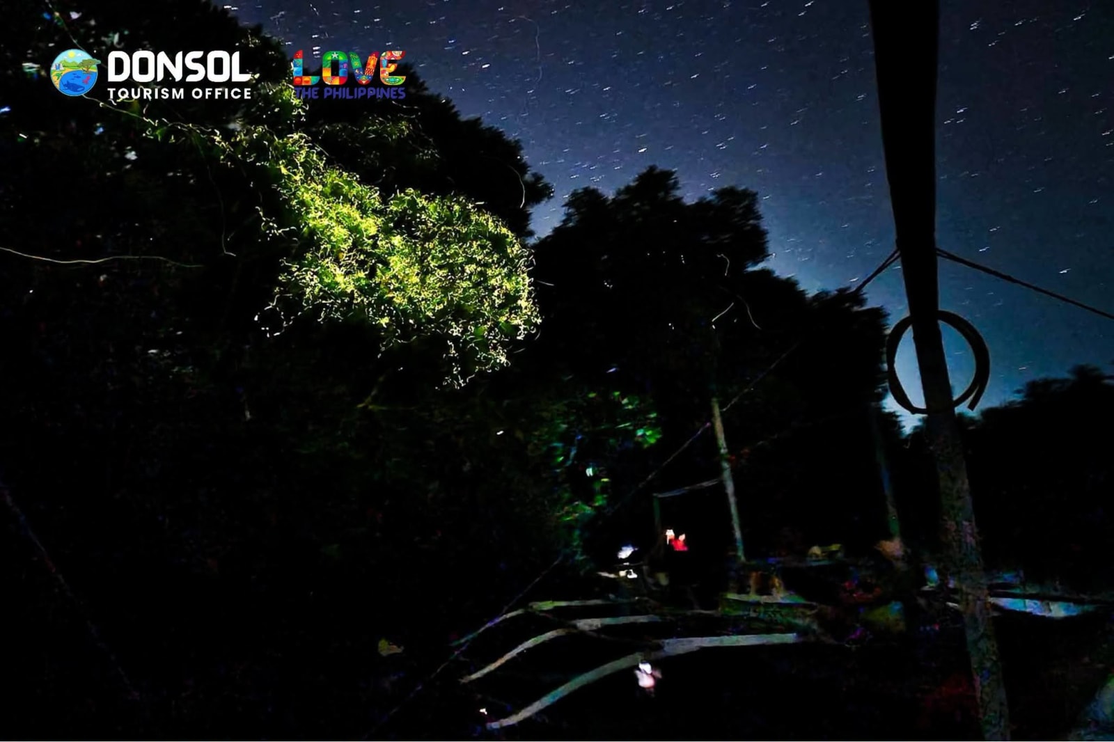 Fireflies glowing above riverside trees at night during a Donsol river experience
