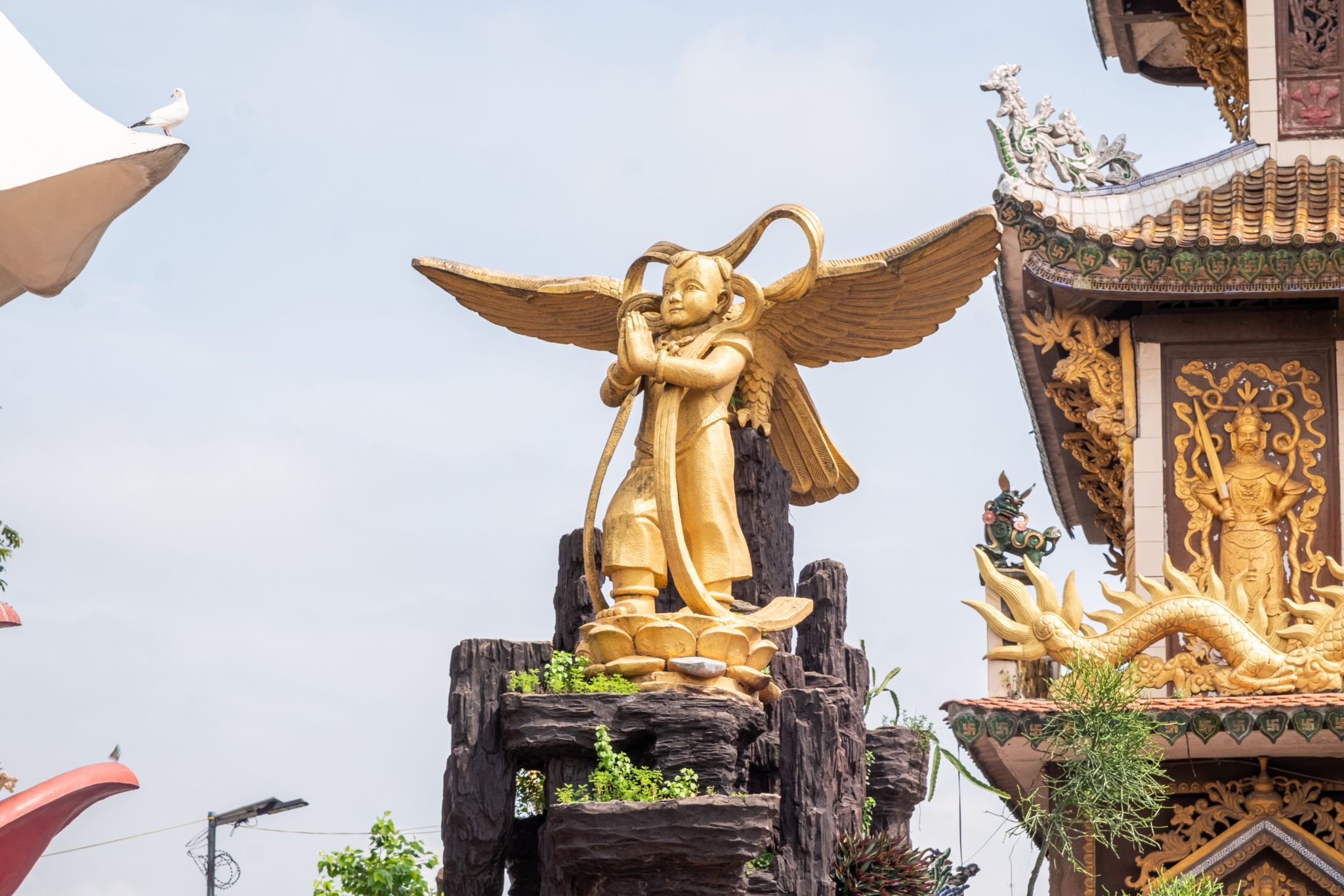 Hình ảnh Chùa Núi Châu Thới