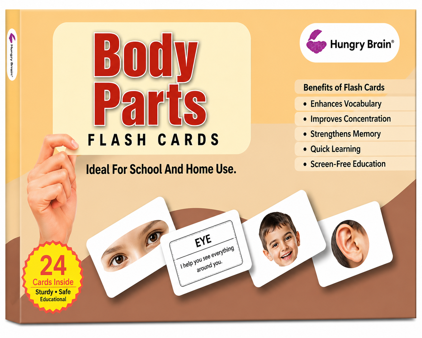 Body Parts Flash Card