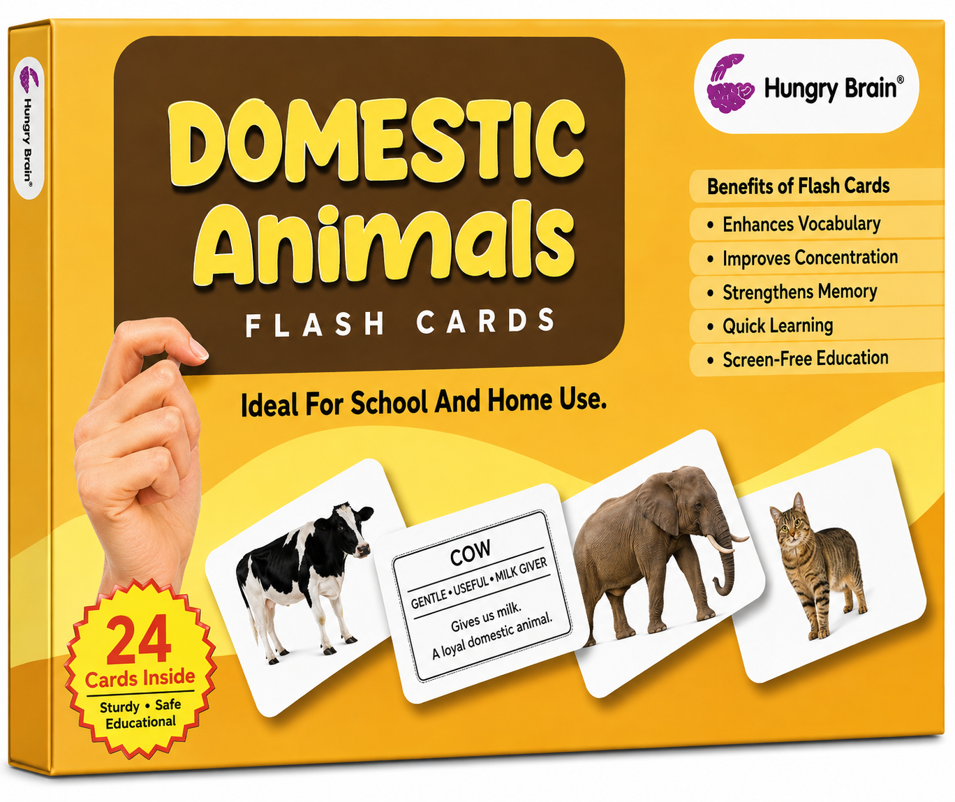 Domestic Animals Flash Card