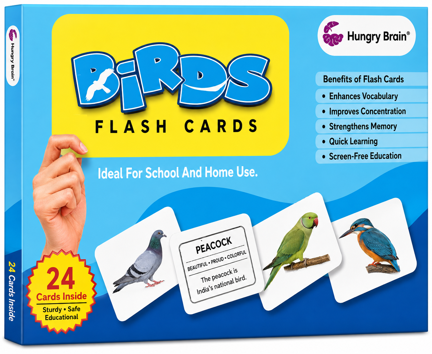 Birds Flash Card