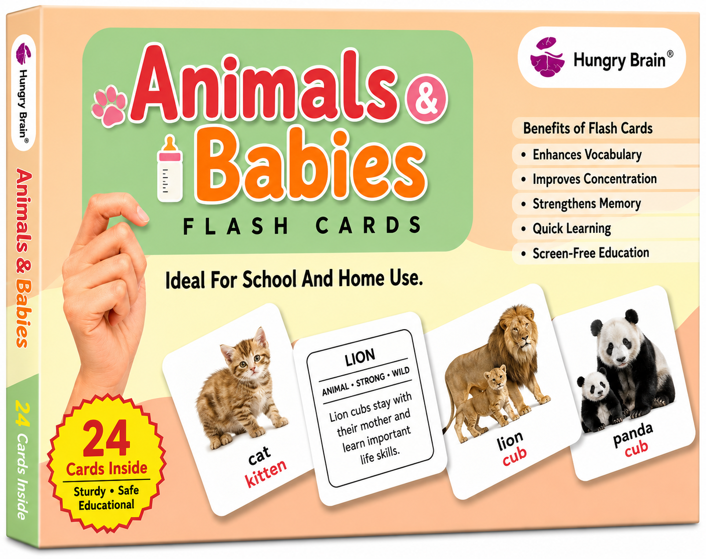 Animals & Babies Flash Card