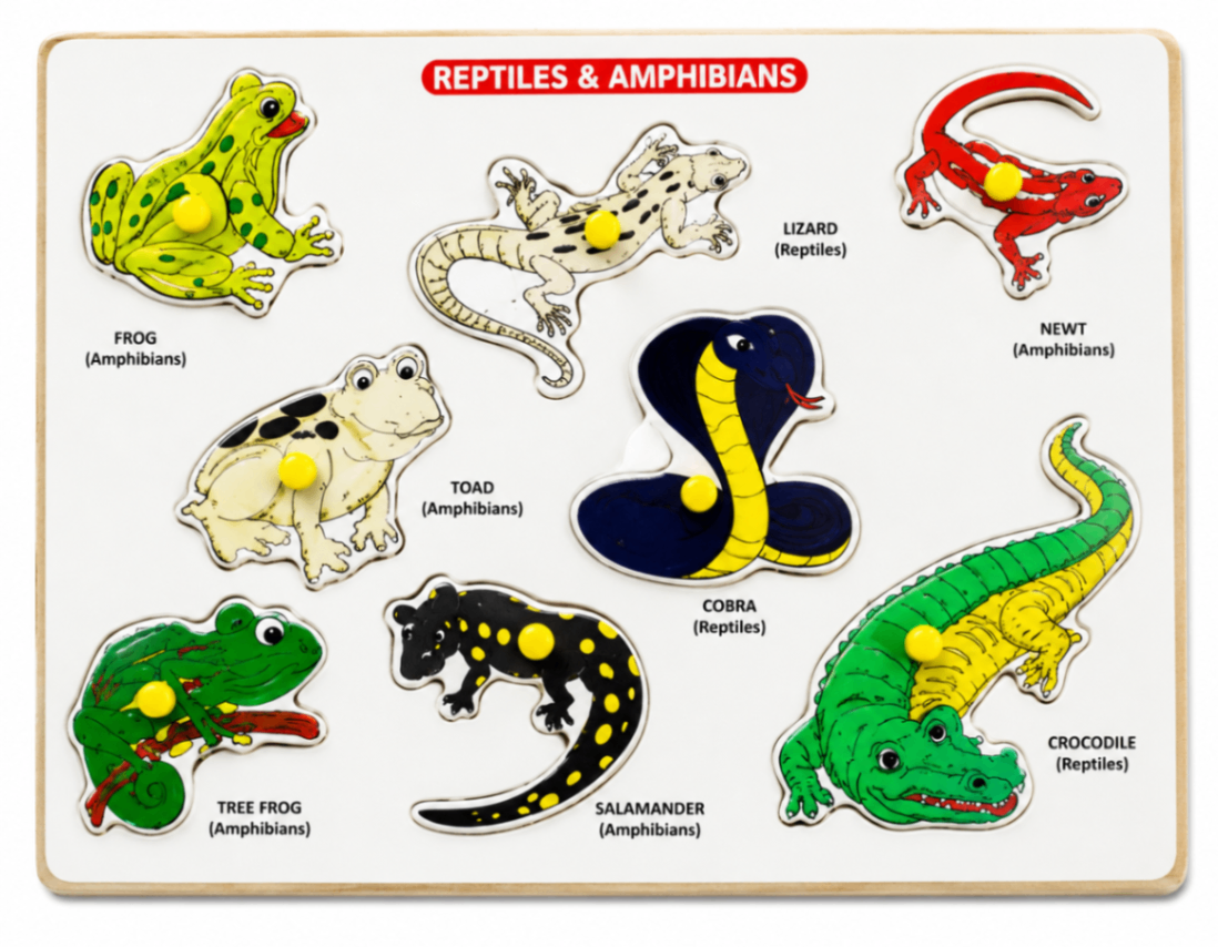 Reptiles & Amphibians Puzzle with Knob