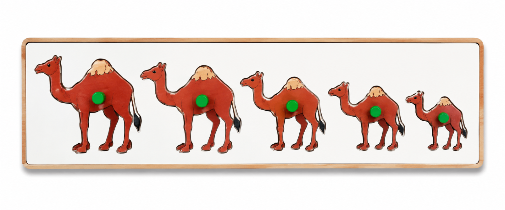 Camel Seriation