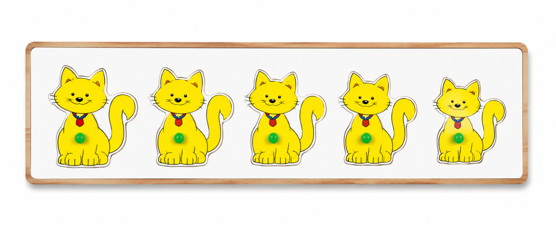 Cat Seriation Big with Knob
