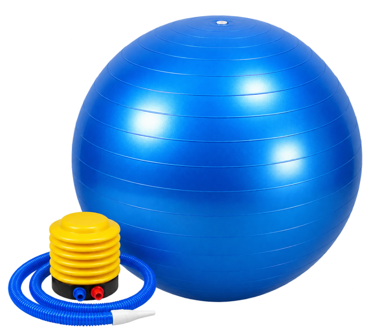 Swiss Physio Ball Therapy Set (55 Cm, 65 Cm, 75 Cm, 85 Cm, 95 Cm)