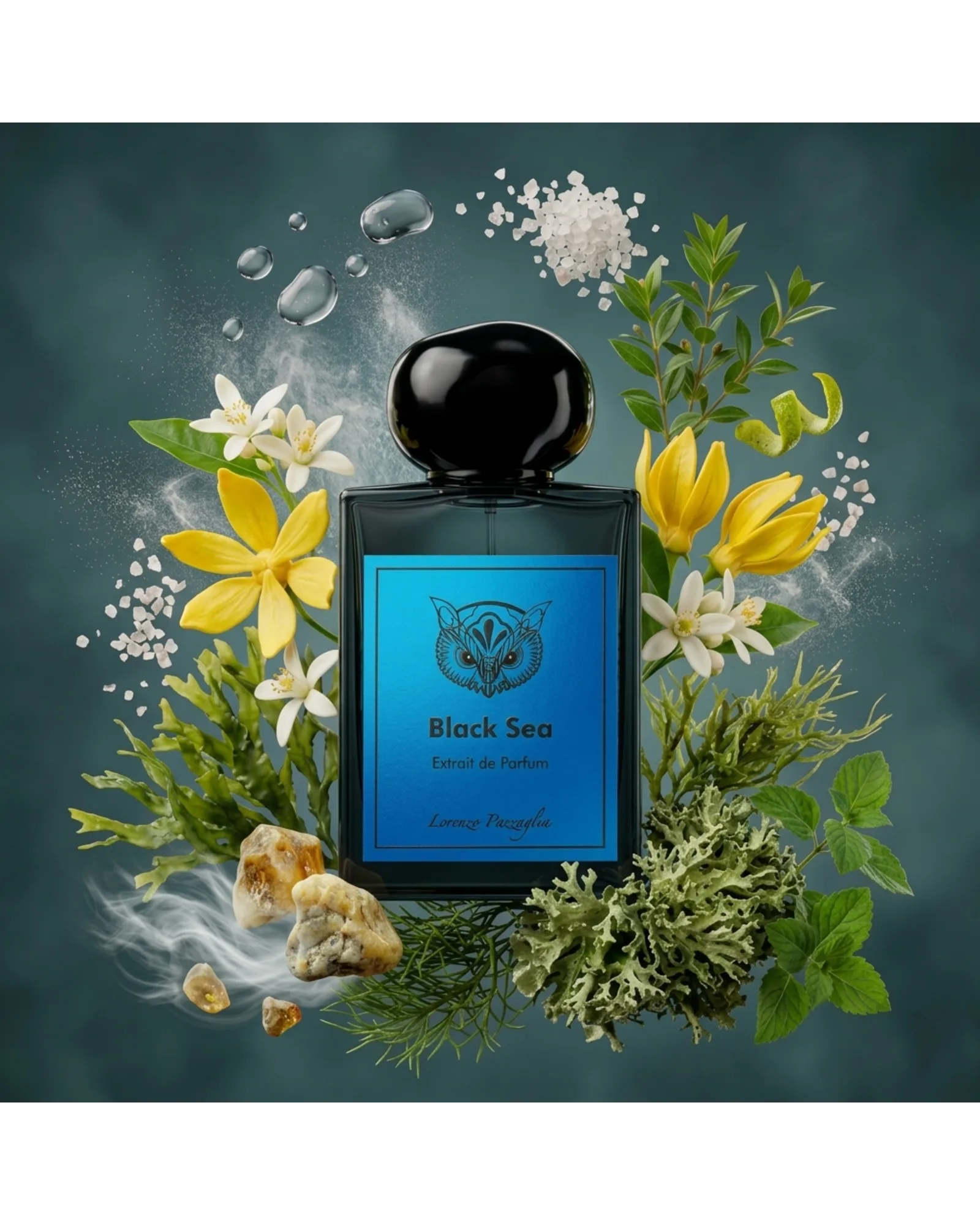 BLACK SEA - Imagen 2