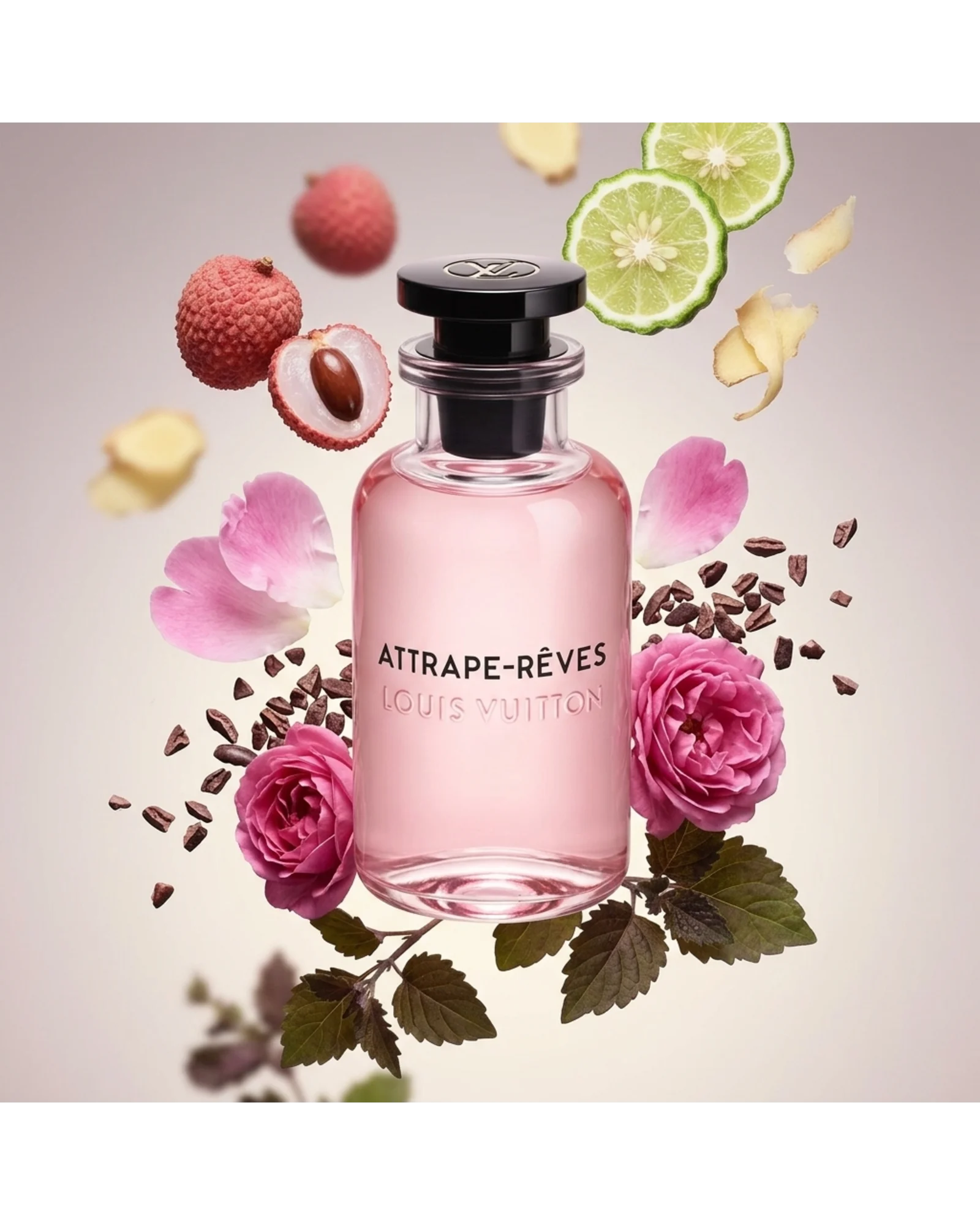 ATTRAPE-RÊVES - Imagen 2