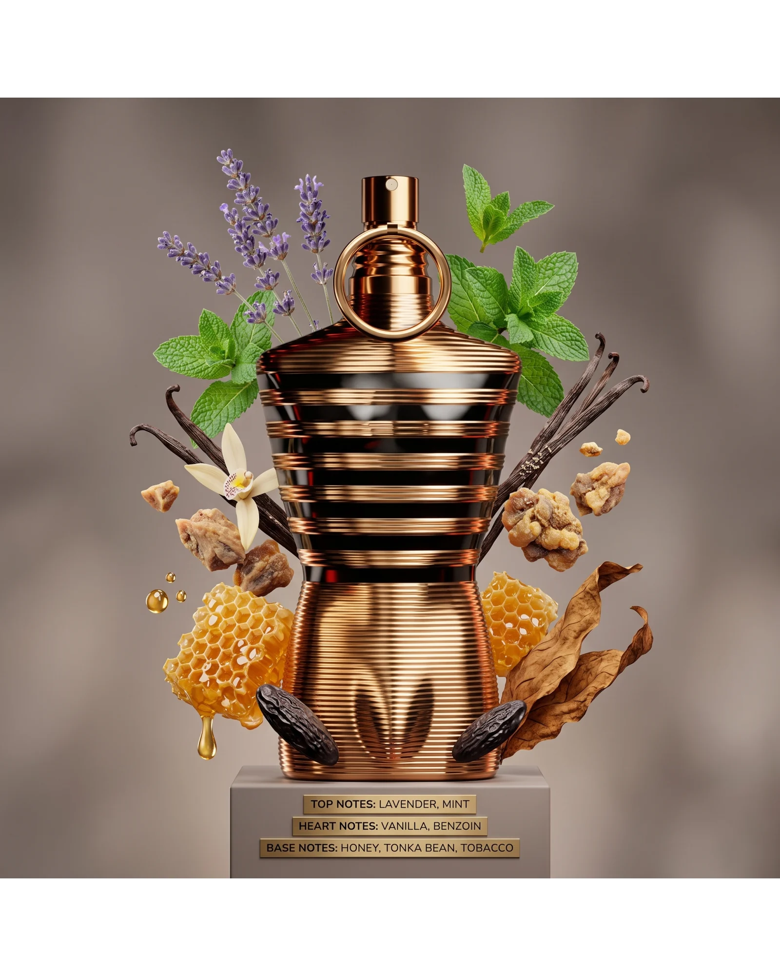 LE MALE ELIXIR - Imagen 2