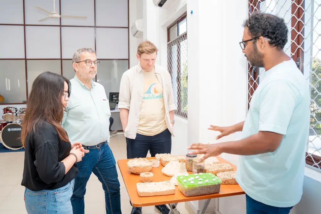 International Media Support visits, Batticaloa, 2025-03-19.