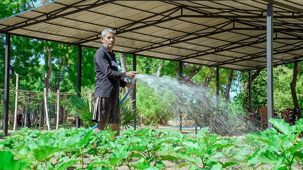 DreamSpace farm, Batticaloa, 2023-10-02.